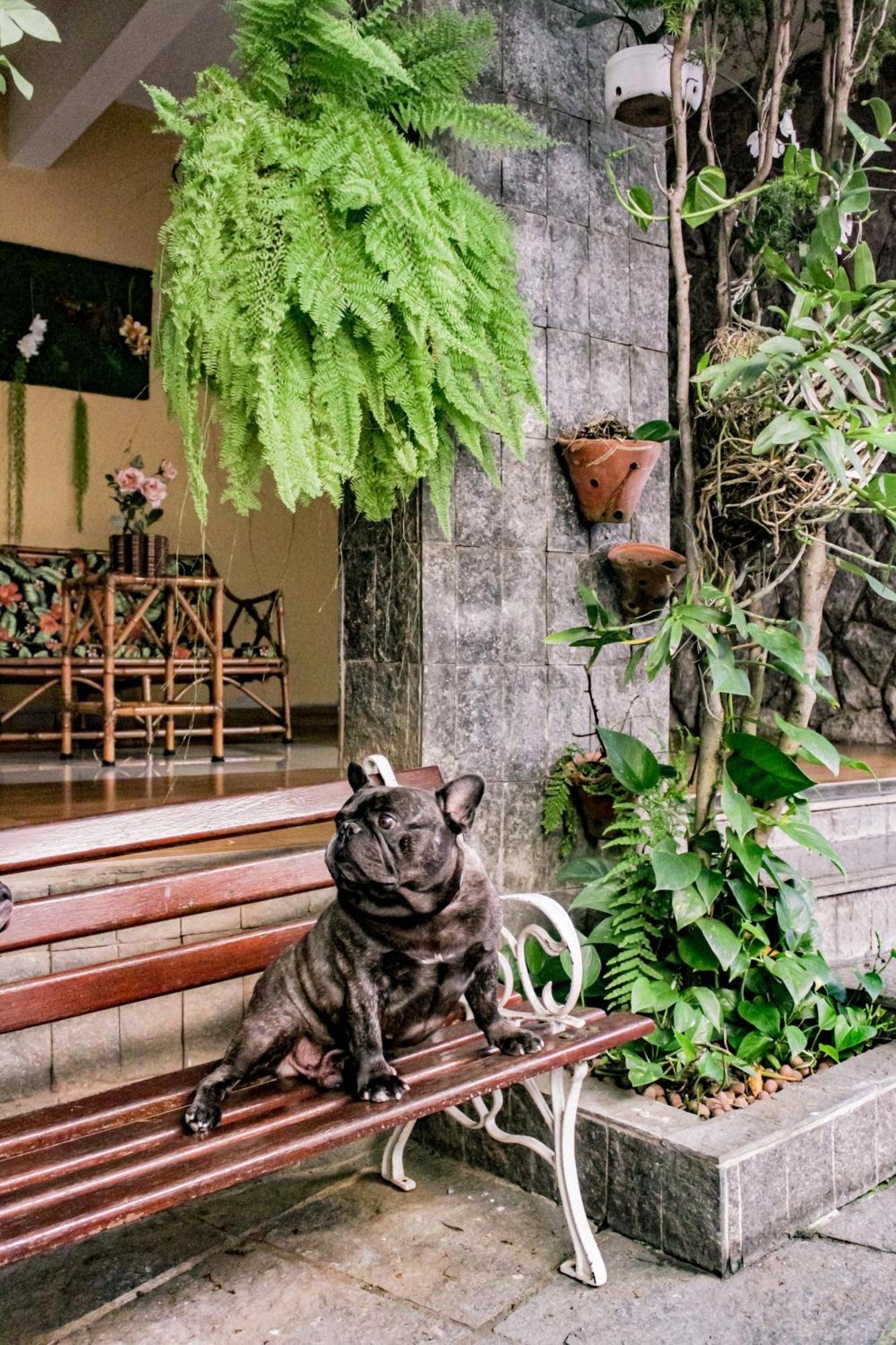 Hotel Primavera Betim Exterior photo